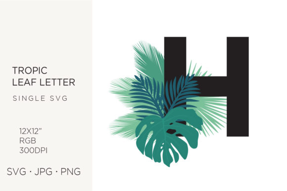 Designing with Tropic Leaves and Palm Leaf Letter H: A Creative Resource for Modern Makers