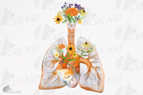 Evaluating the Prairie Flowers Anatomical Lungs Heart Design for Creative Projects